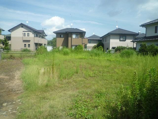 Local land photo. Local (12 May 2012) shooting