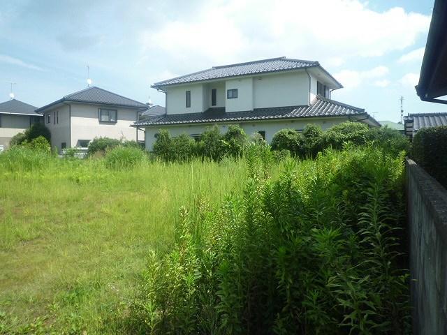 Local land photo. Local (12 May 2012) shooting