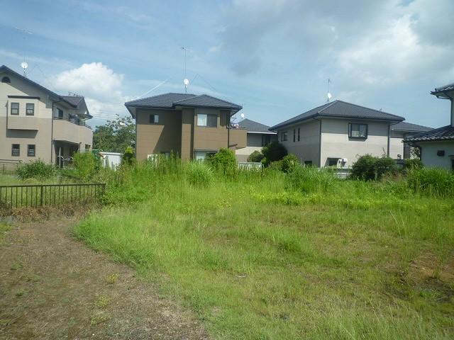 Local land photo. Local (12 May 2012) shooting
