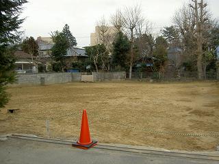 Local land photo