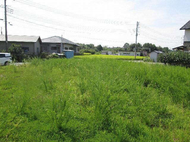 Local land photo