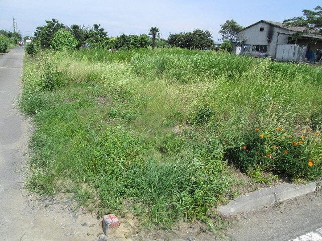 Local photos, including front road