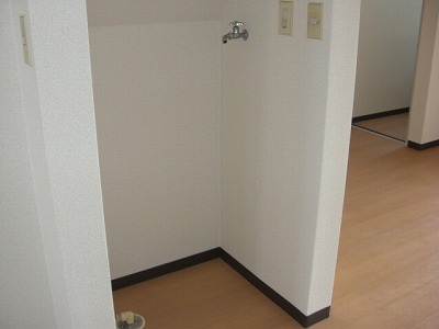 Washroom. Indoor Laundry Storage