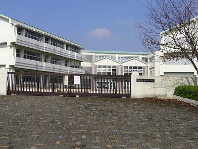 Primary school. 367m to Moriya Municipal Oisawa elementary school (elementary school)