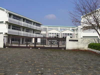 Primary school. 526m to Moriya Municipal Oisawa elementary school (elementary school)