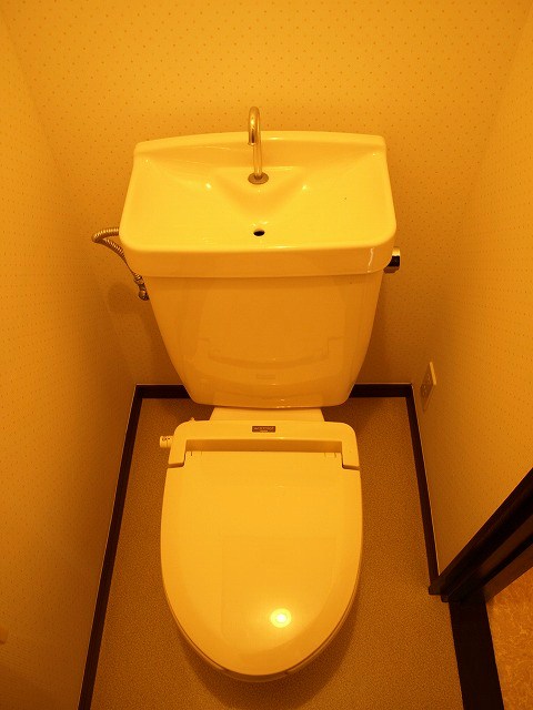 Toilet. Warm toilet seat in with warm toilet