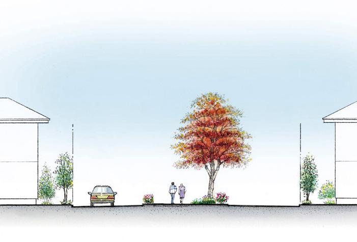 Cityscape Rendering. Community road that connects the east and west district of the Town. Trees to enjoy the fall foliage, Planting around the trees that can enjoy the flowers and fruit. While walking, Create a town where you can enjoy the vivid landscape of the four seasons (east and west Vista (environment axis) expected Illustration)