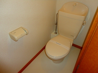 Toilet. Spacious and has