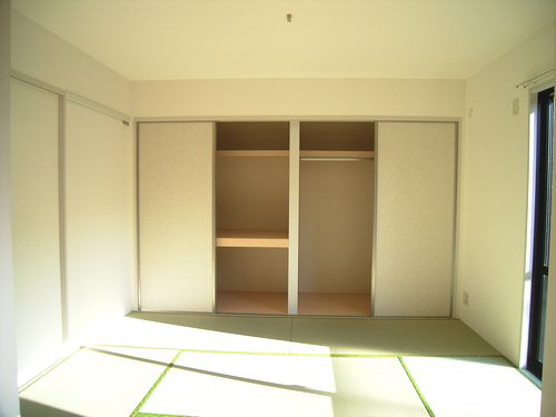 Living and room. Closet large capacity