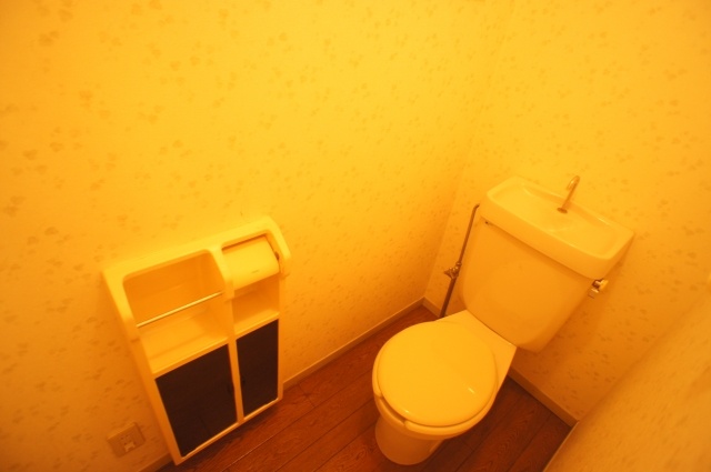 Toilet. Window in the toilet ☆