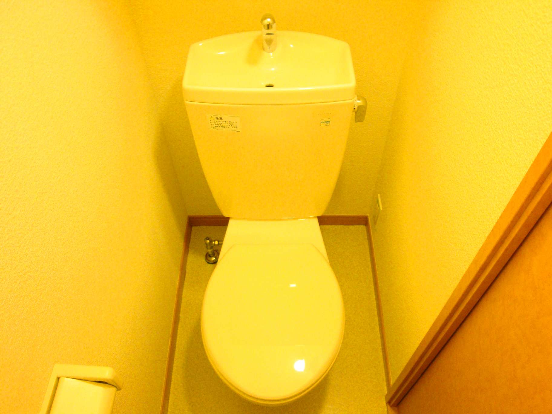 Toilet. The same type