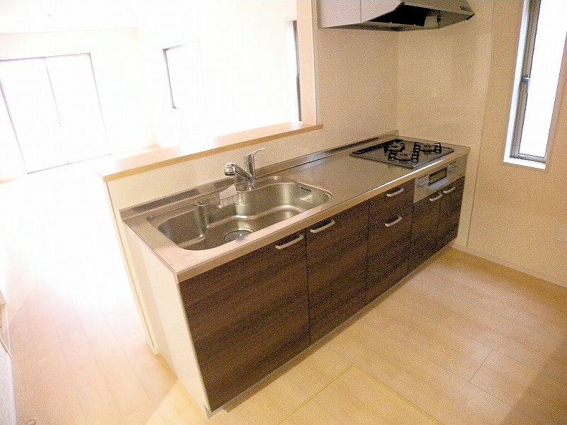 Kitchen. Indoor (11 May 2013) Shooting