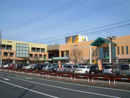 Supermarket. Apita to Moriya shop 582m
