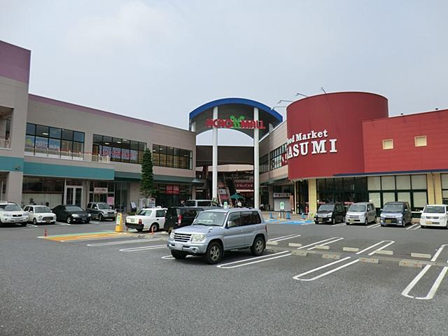 Shopping centre. 1074m until Across Mall Moriya
