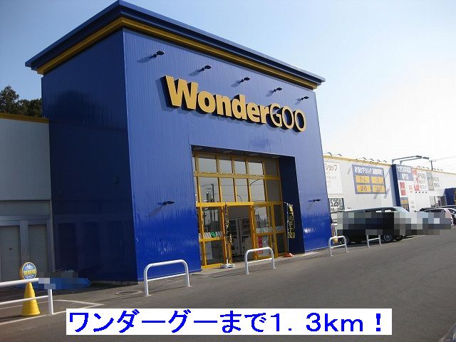 Rental video. Wonder goo 1300m up (video rental)