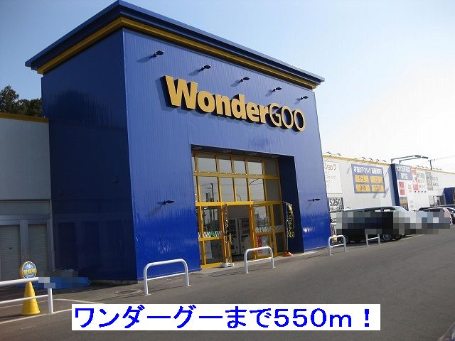 Rental video. Wonder Goo 550m up (video rental)