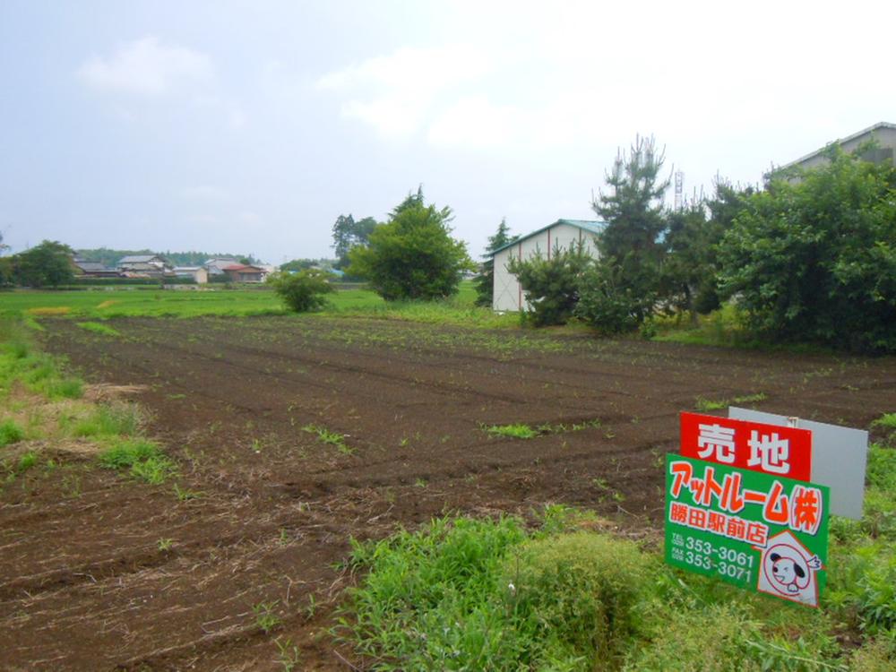 Local land photo