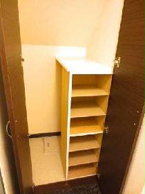 Entrance. There shoe boxes and storage space