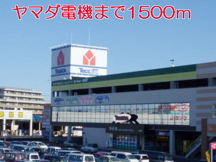 Supermarket. Yamada Denki to (super) 1500m