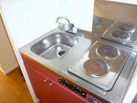 Kitchen. Convenient, two-burner stove