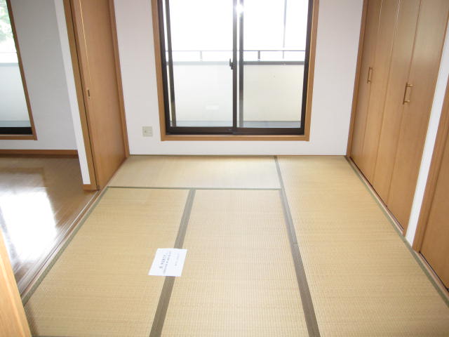 Other room space. Japanese style room