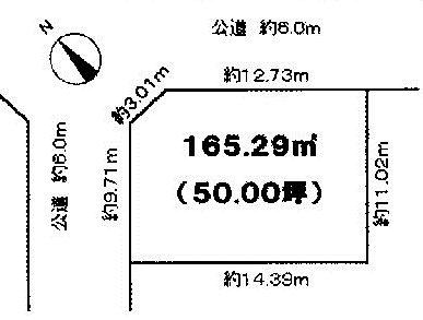 Compartment figure. Land price 10 million yen, Land area 165.29 sq m