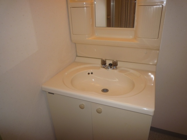 Washroom. Bathroom vanity