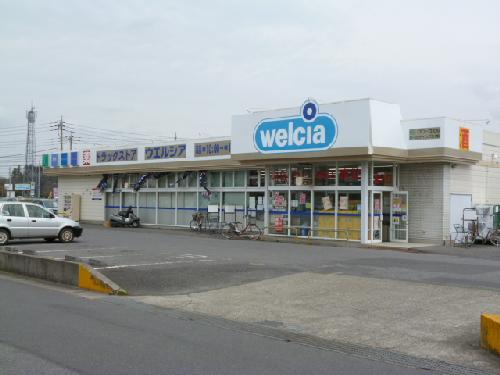 Dorakkusutoa. Werushia (drugstore) up to 100m