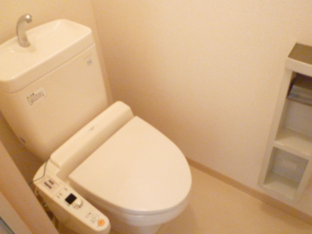 Toilet. With Washlet