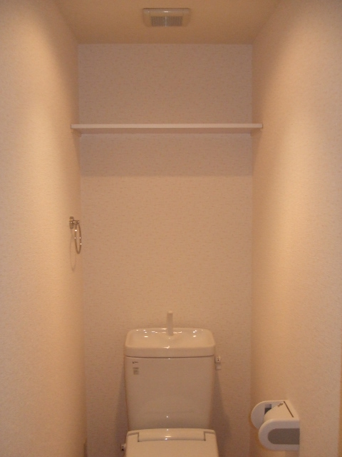 Toilet. There is a storage space at the top, It is a little space of spread. 