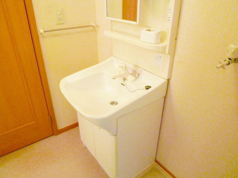 Washroom. Bathroom Vanity