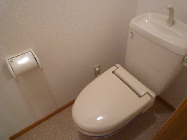 Toilet. Warm water washing toilet seat