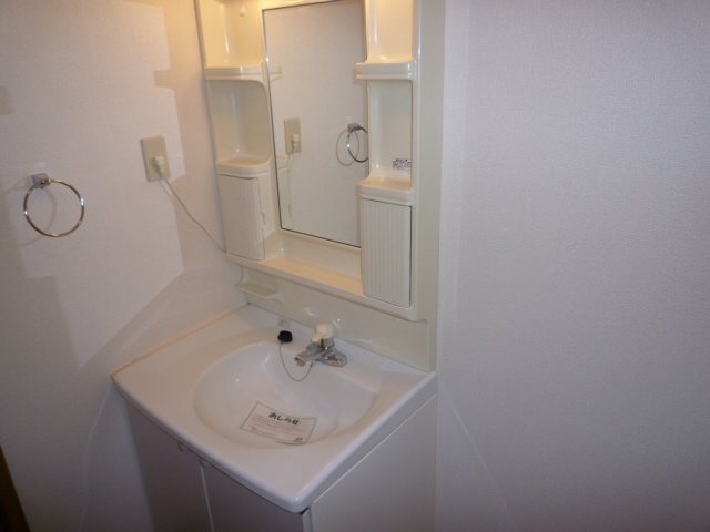 Washroom. Bathroom vanity