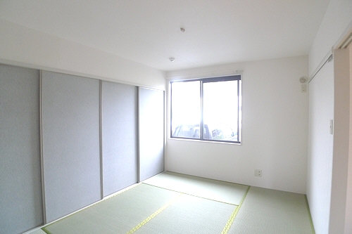 Other room space. Japanese style room