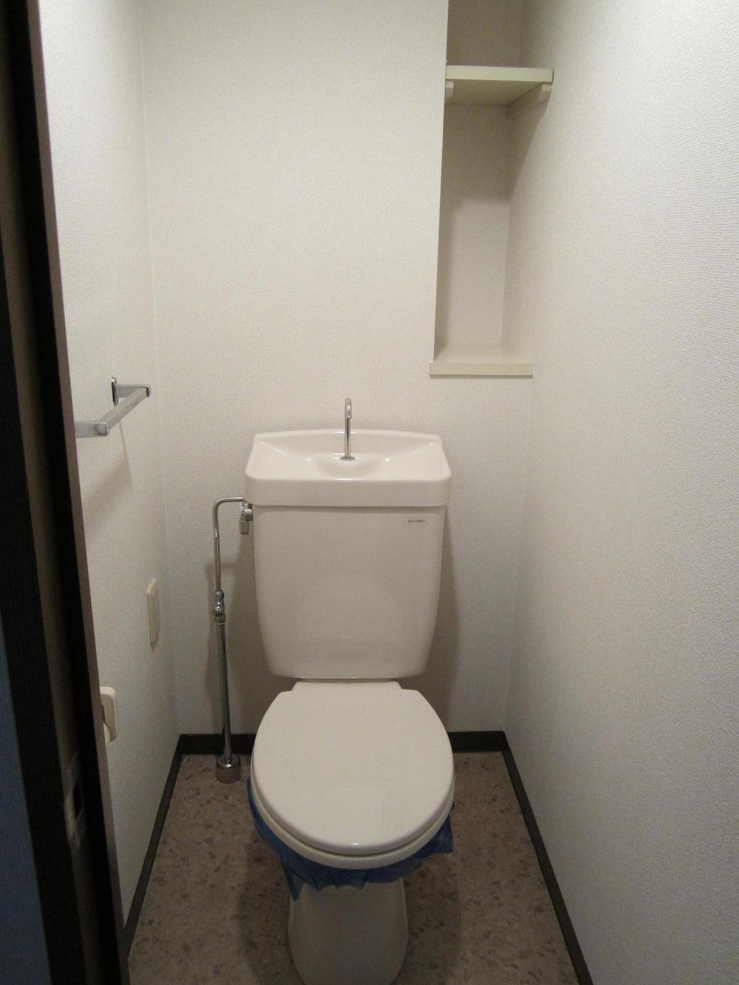 Toilet. With storage