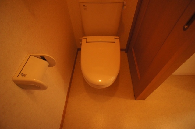 Toilet. Heating toilet seat