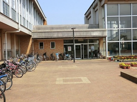 Primary school. Ryugasaki City 401m to stand pine needle elementary school (elementary school)
