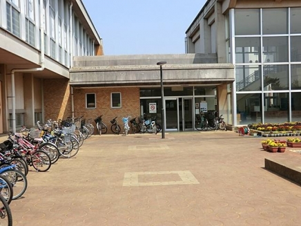 Primary school. Ryugasaki City 917m to stand pine needle elementary school (elementary school)