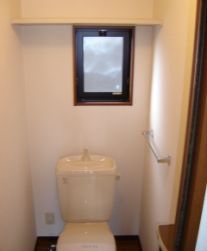 Toilet. With window