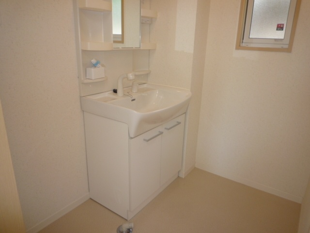 Washroom. Bathroom Vanity