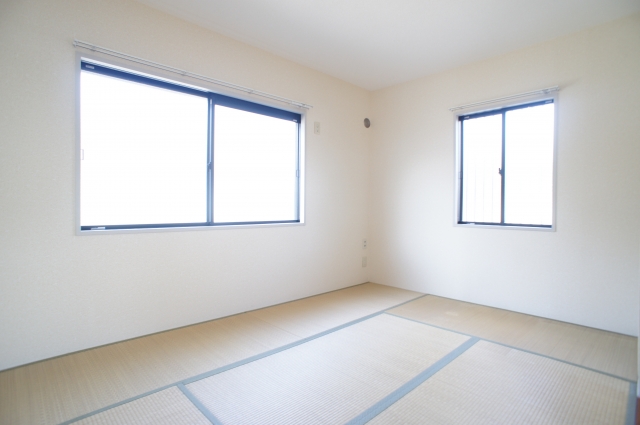 Living and room. tatami