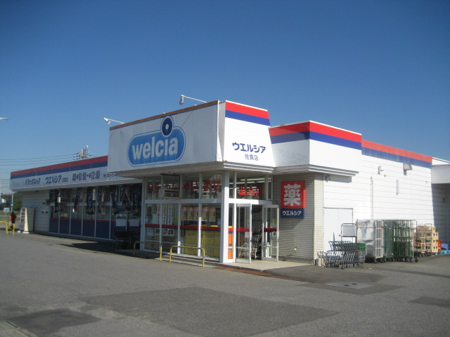 Dorakkusutoa. Uerushia Sanuki shop 335m until (drugstore)