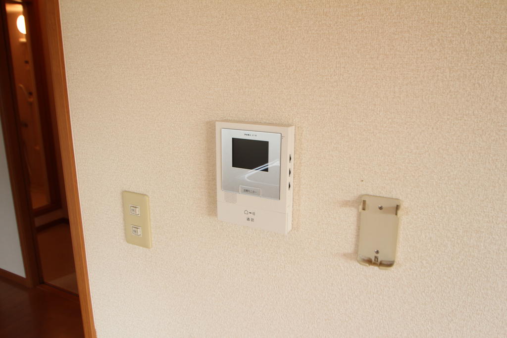 Security. Monitor with a color intercom