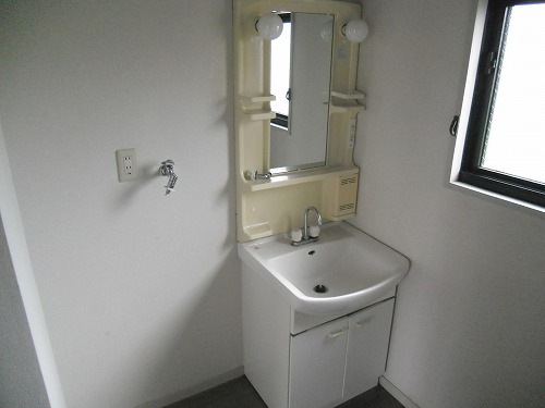Washroom. Happy independence vanity