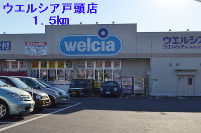 Dorakkusutoa. Uerushia Togashira shop 1500m until (drugstore)