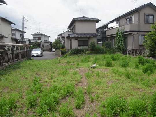 Local land photo