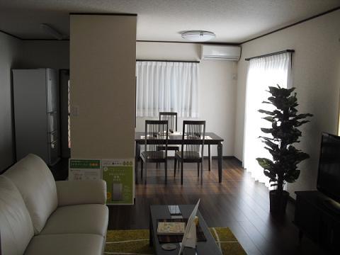 Living. Indoor (12 May 2013) Shooting