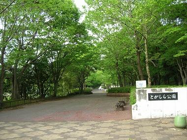park. A life that is clear in the 4300m green city to Togashira park. It is possible to use the various facilities.
