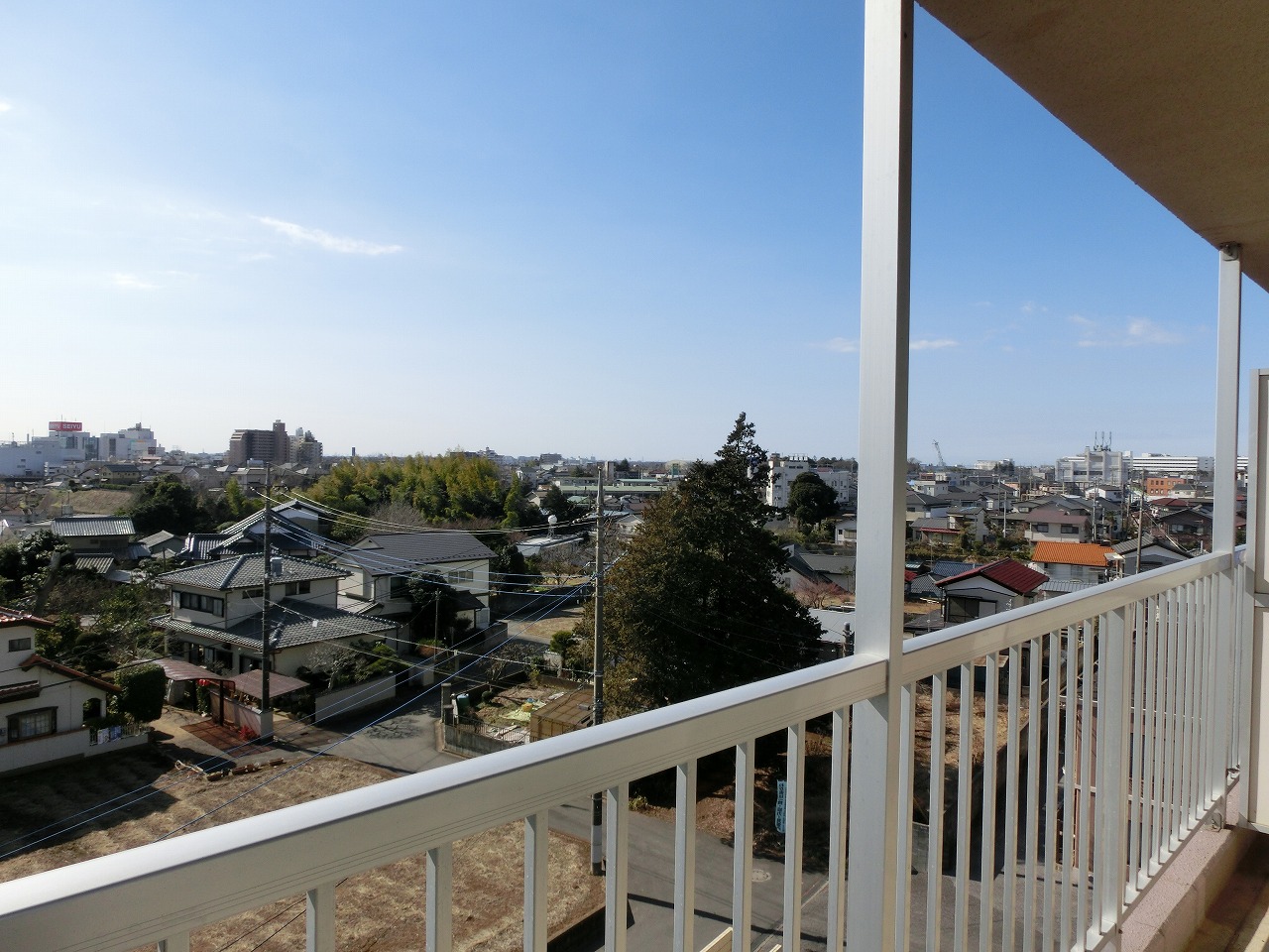 View
