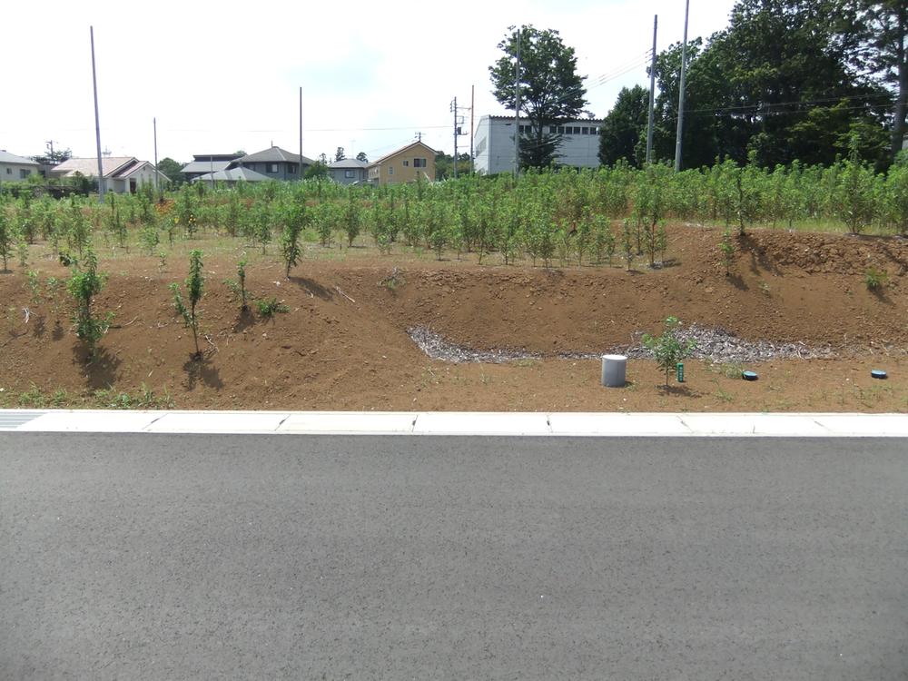Local land photo. Local (June 2013) Shooting